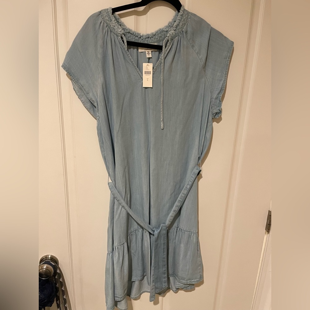 Anthropology Denim Dress